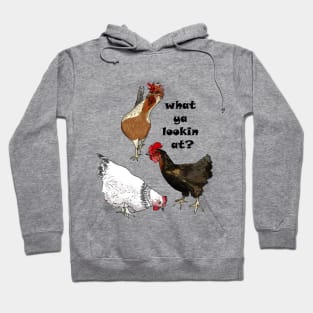 The Hens Want to Know What You're Looking At Hoodie